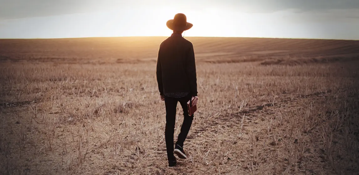 Looking back to look forward